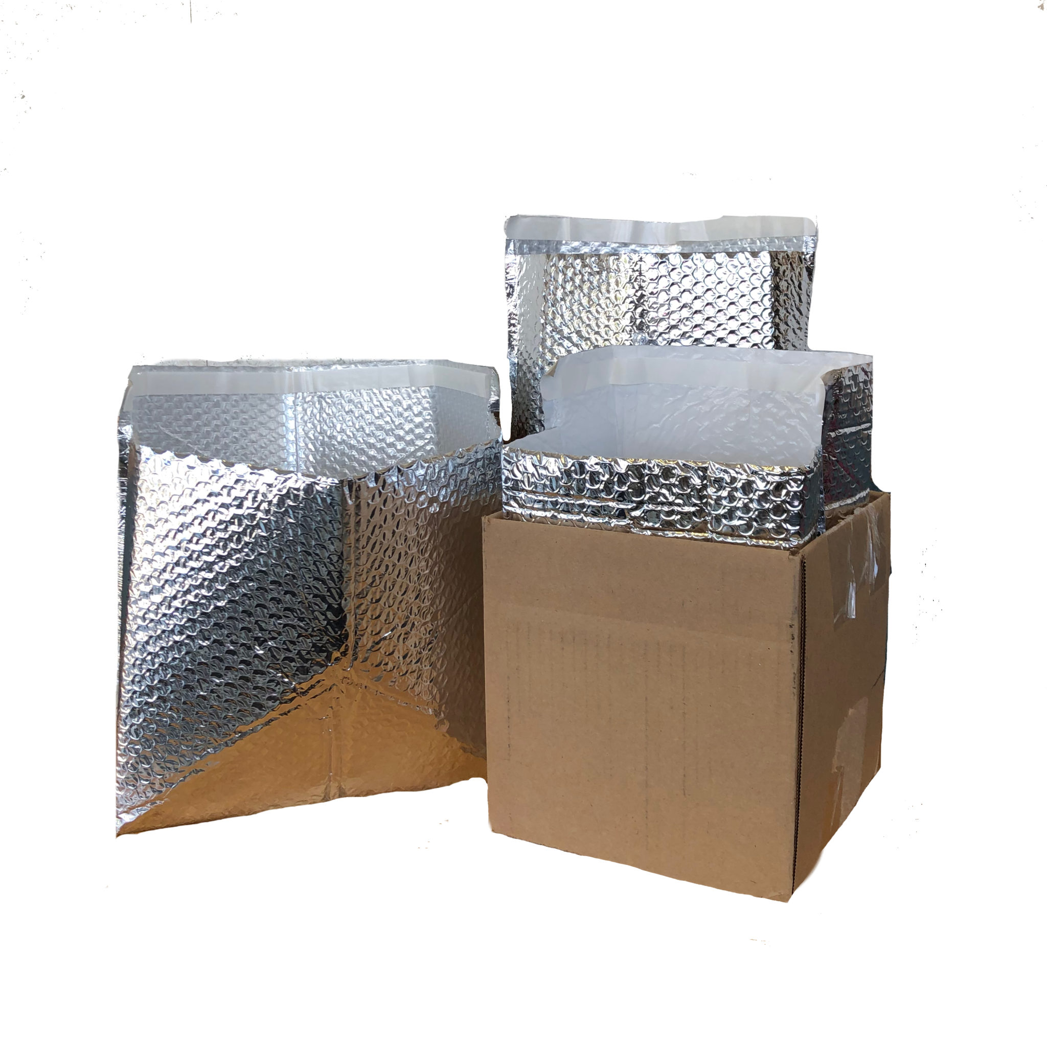 Insulated Boxes for Shipping